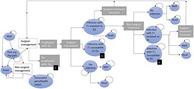 Quantifying the primary and secondary effects of antimicrobial resistance on surgery patients: Methods and data sources for empirical estimation in England